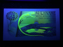 Load image into Gallery viewer, Suriname 2 1/2 Gulden 1985 Banknote World Paper Money UNC Currency Bird Lizard - Collectors Couch